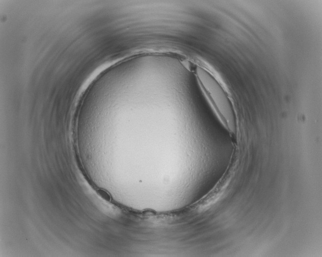 X0000078310803200611251532