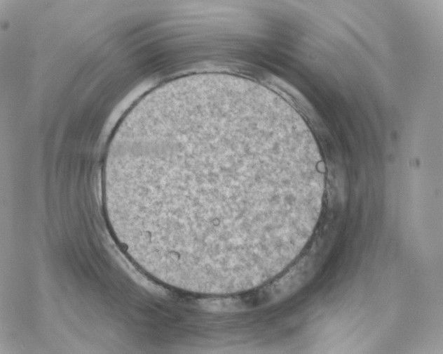 X0000078310804200611251532