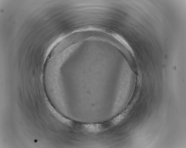 X0000078310805200611251532