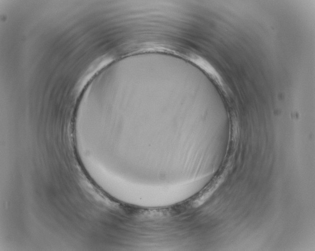 X0000078310806200611251532