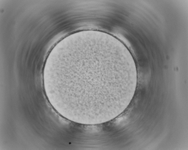 X0000078310807200611251532