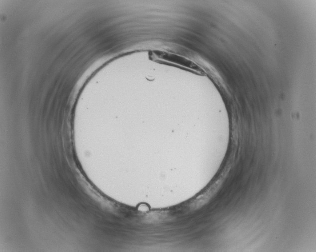 X0000078310808200611251532