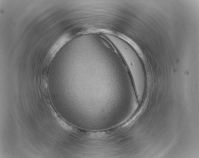 X0000078310809200611251532