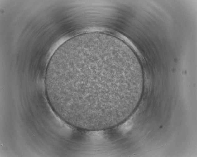 X0000078310810200611251532