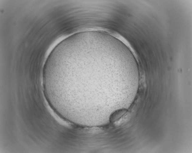 X0000078310811200611251532