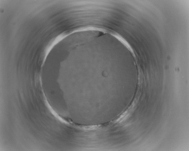 X0000078310813200611251532