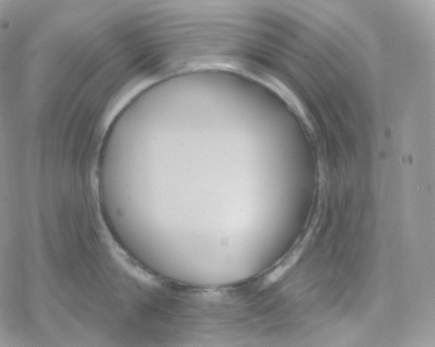 X0000078310814200611251532