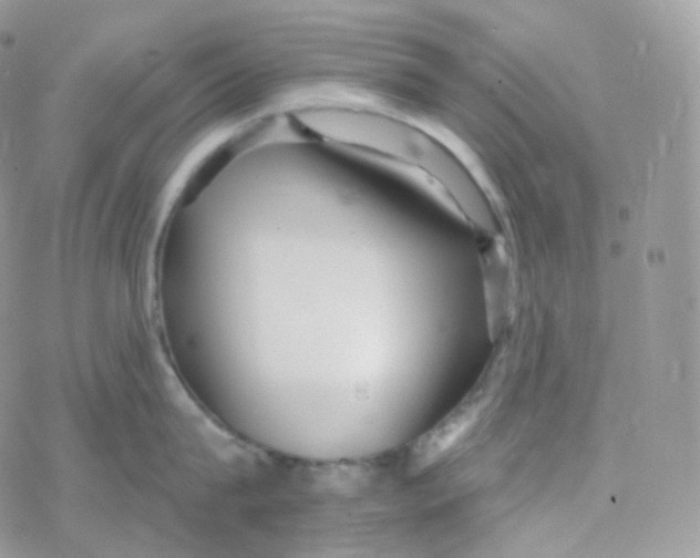 X0000078310815200611251532