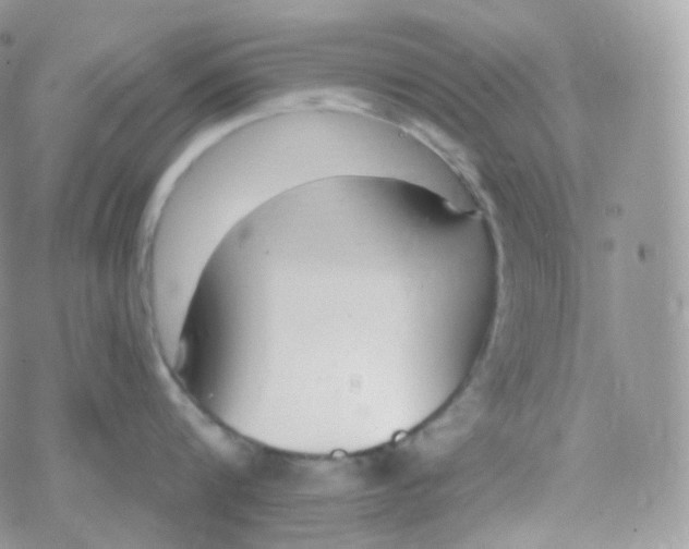 X0000078310816200611251532