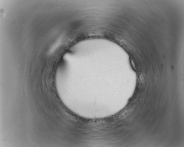 X0000078310817200611251531