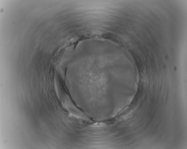 X0000078310818200611251531