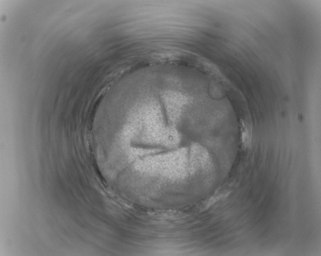 X0000078310819200611251531