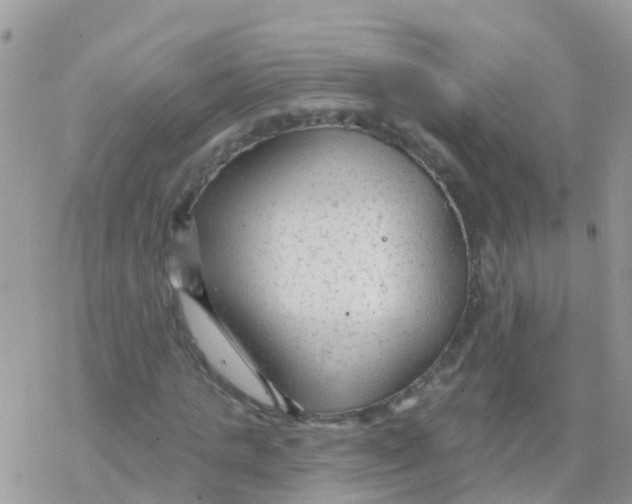 X0000078310821200611251531