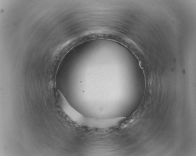 X0000078310822200611251531