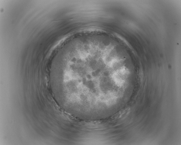 X0000078310823200611251531