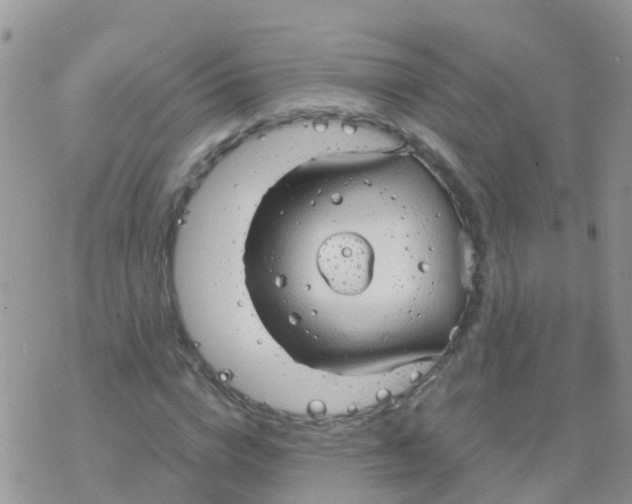 X0000078310824200611251531