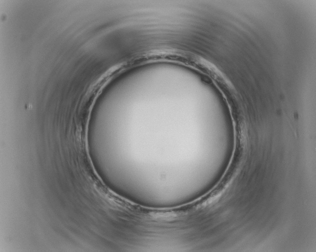 X0000078310825200611251531