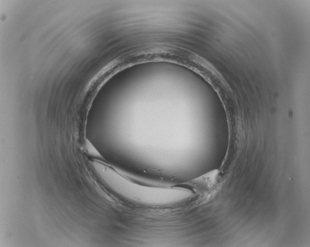 X0000078310826200611251531