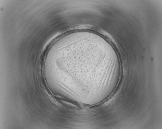 X0000078310827200611251531