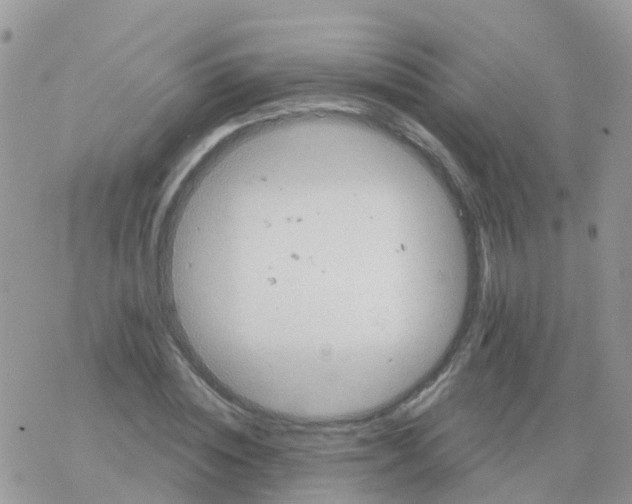 X0000078310828200611251531