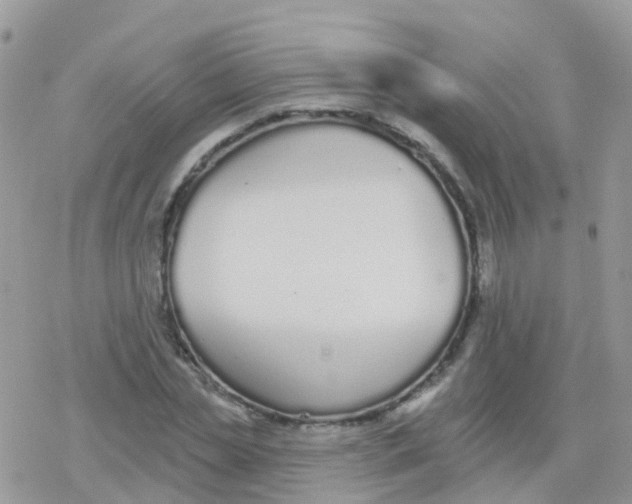 X0000078310829200611251531