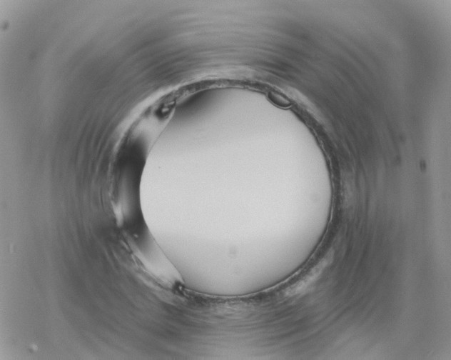 X0000078310830200611251531