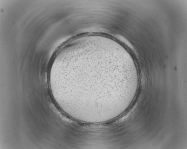 X0000078310831200611251531