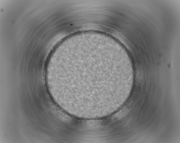 X0000078310832200611251531