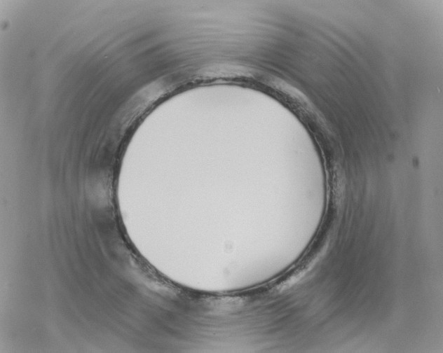 X0000078310833200611251531