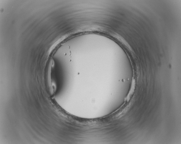 X0000078310834200611251531