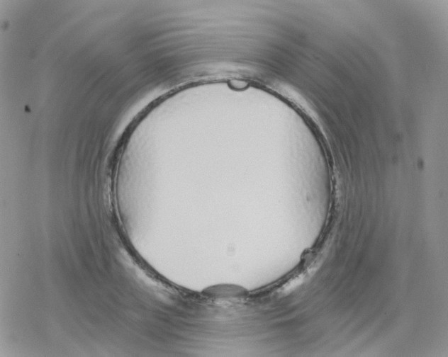 X0000078310835200611251531