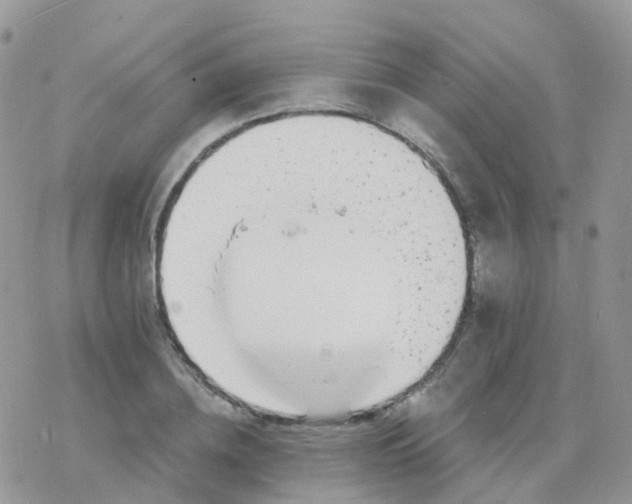 X0000078310836200611251531