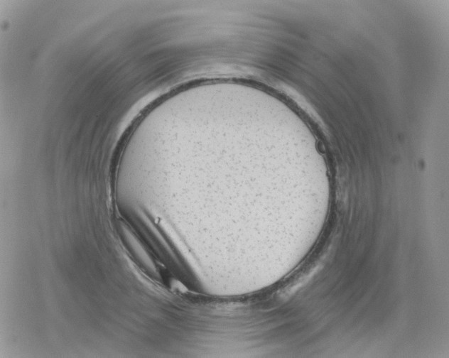 X0000078310837200611251531