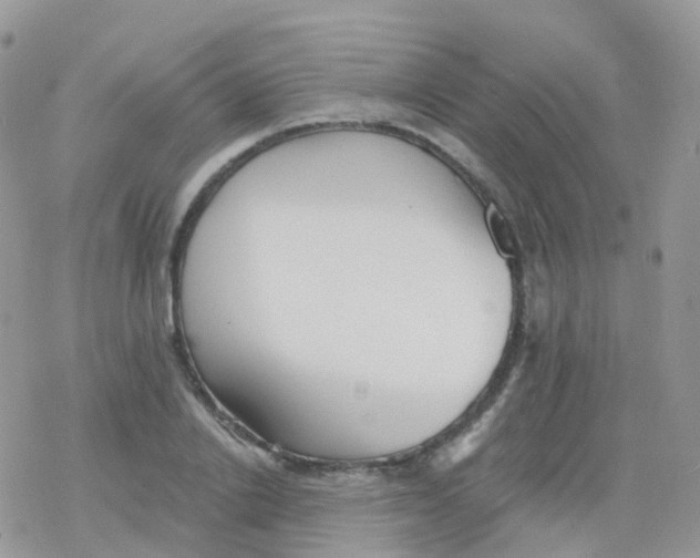 X0000078310838200611251531