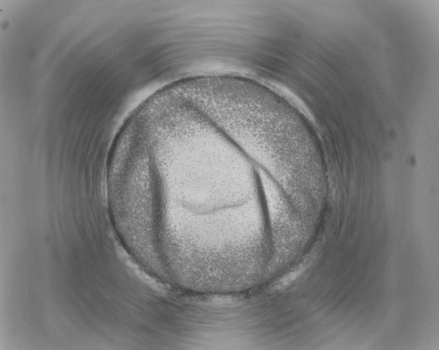 X0000078310839200611251531