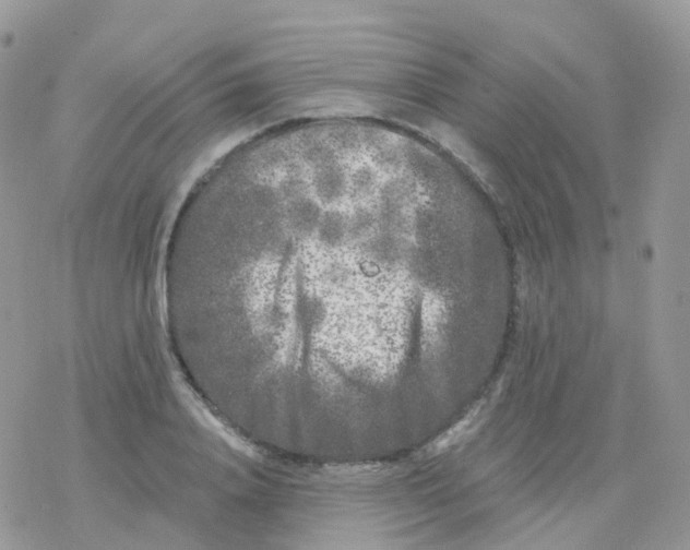 X0000078310840200611251531