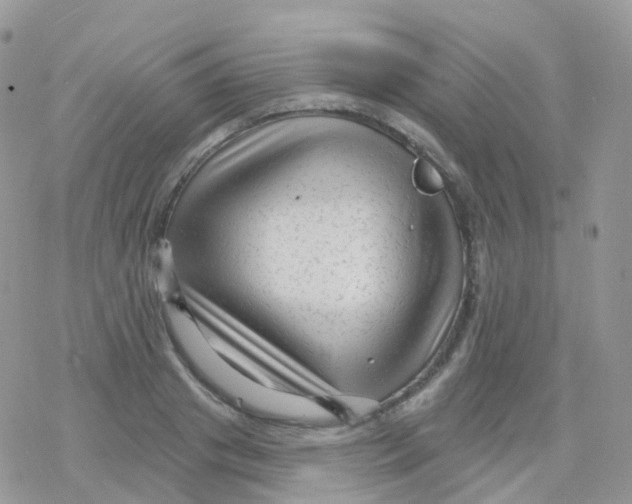 X0000078310841200611251531