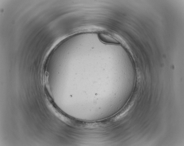 X0000078310843200611251531