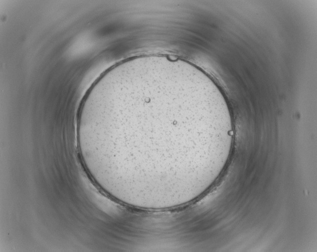 X0000078310844200611251531