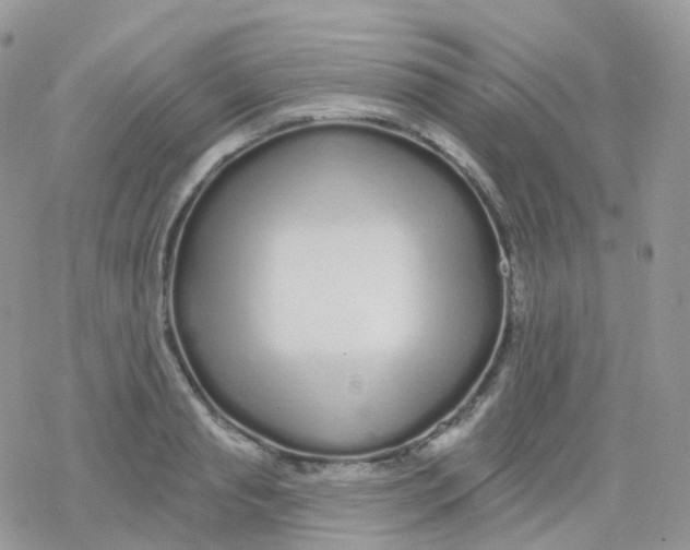 X0000078310845200611251531