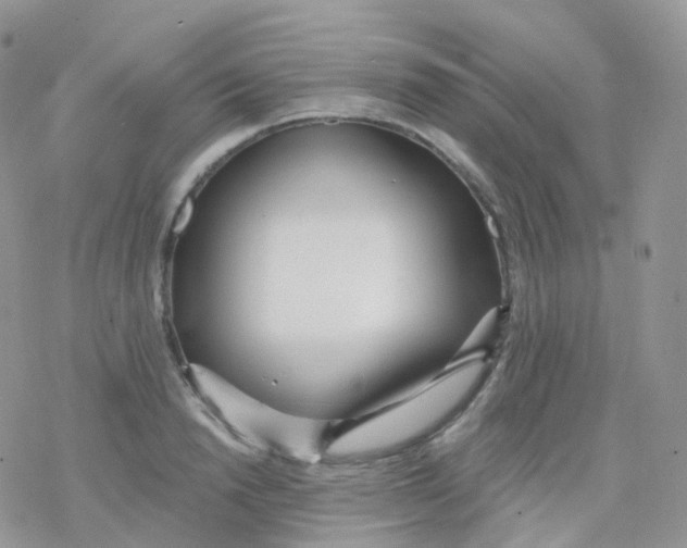 X0000078310846200611251531