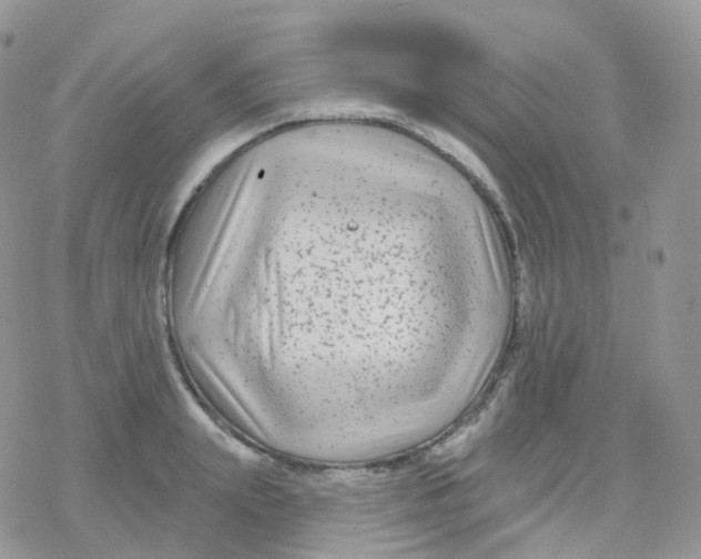 X0000078310847200611251531