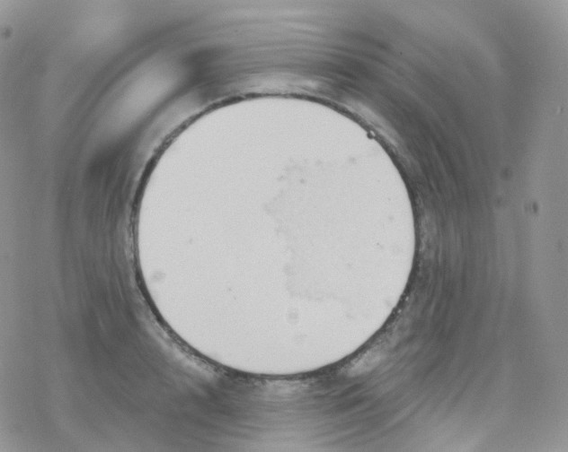 X0000078310848200611251531