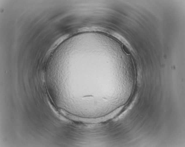 X0000078310849200611251531