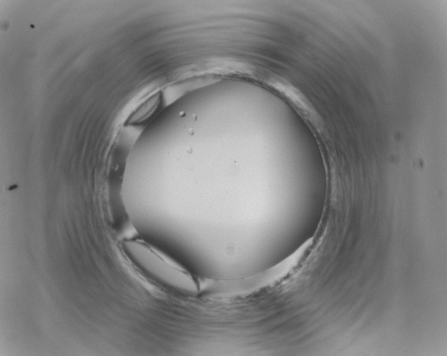 X0000078310850200611251531