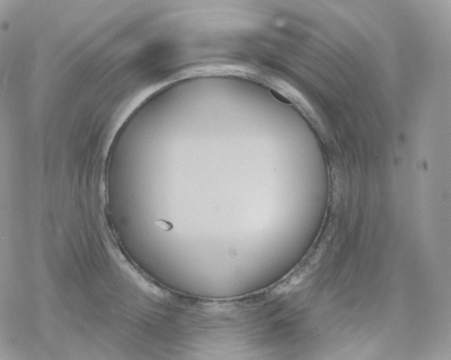 X0000078310852200611251531