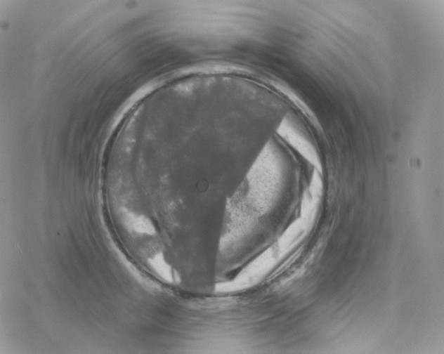 X0000078310853200611251531