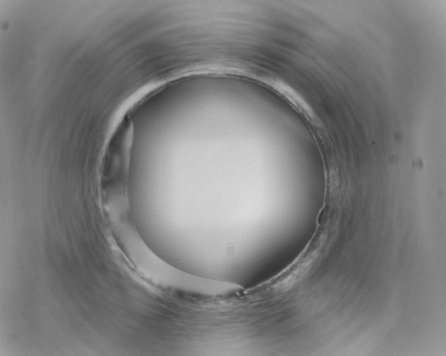 X0000078310854200611251531