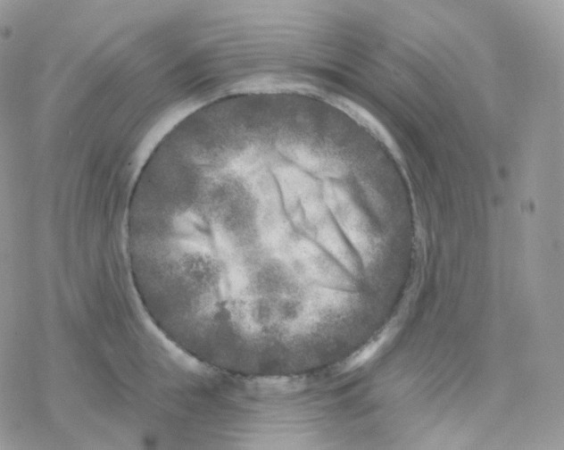 X0000078310855200611251532