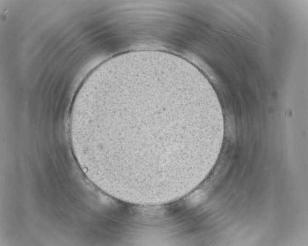 X0000078310856200611251532